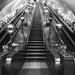 Swiss Cottage tube by shannejw