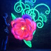 lantern rose by shannejw