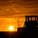 Tractor, Kansas Sunset by kareenking