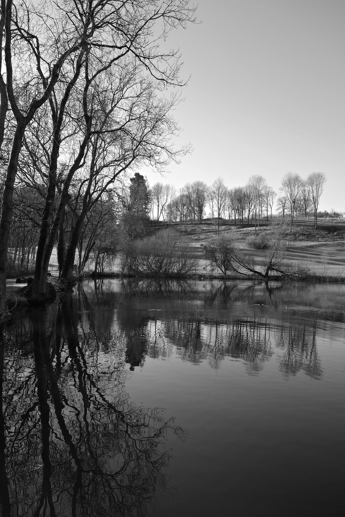 A Winter's Lake by darrenboyj