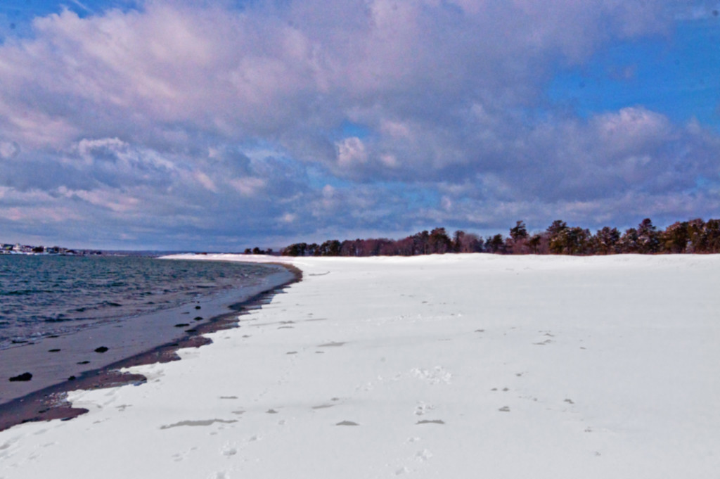 Winter Beach by dianen