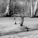 On frozen pond  by susanharvey