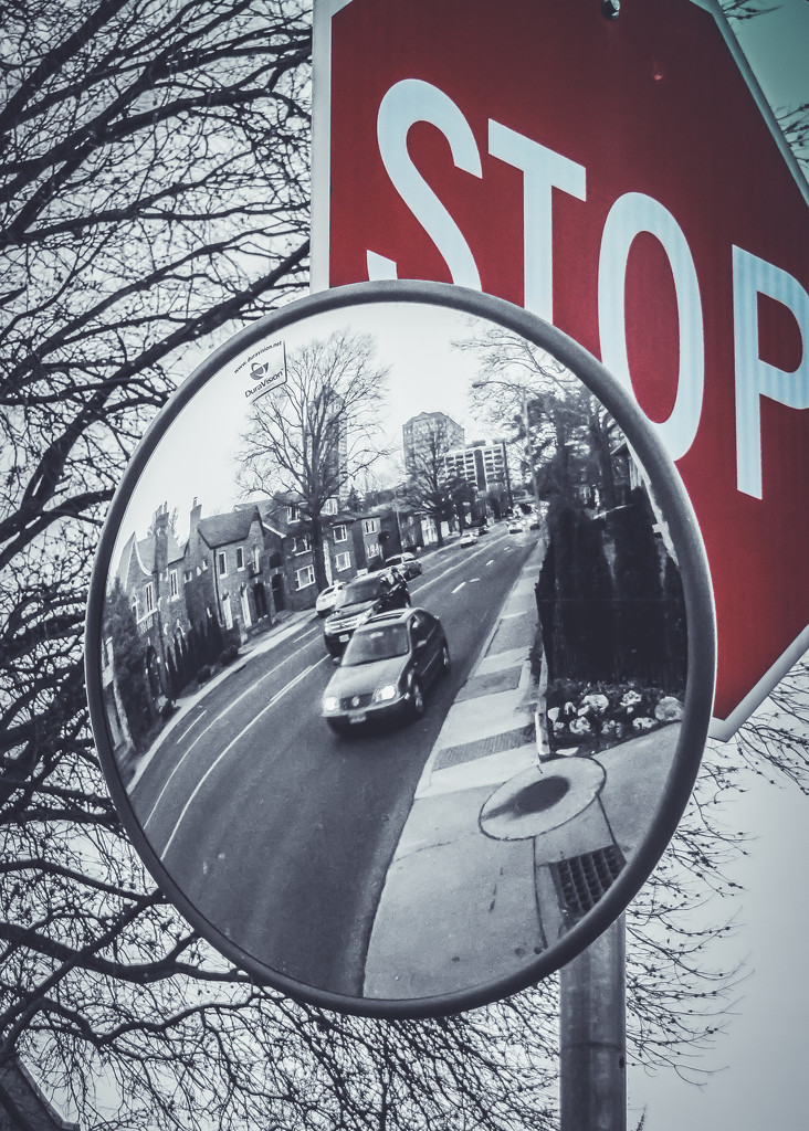 Stop... And Go by rosiekerr