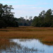 Wood and marsh, Charles Towne Landing State Historical Site, Charleston, SC by congaree