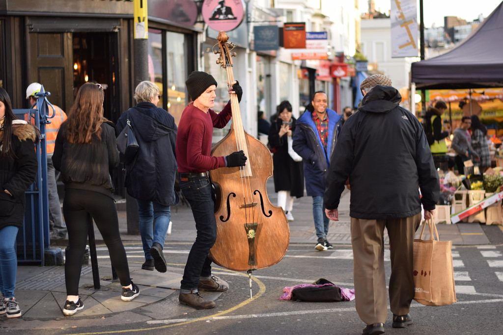 double bass by christophercox