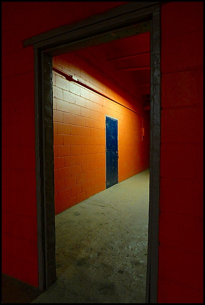 Doors in a Hallway (Color) by olivetreeann