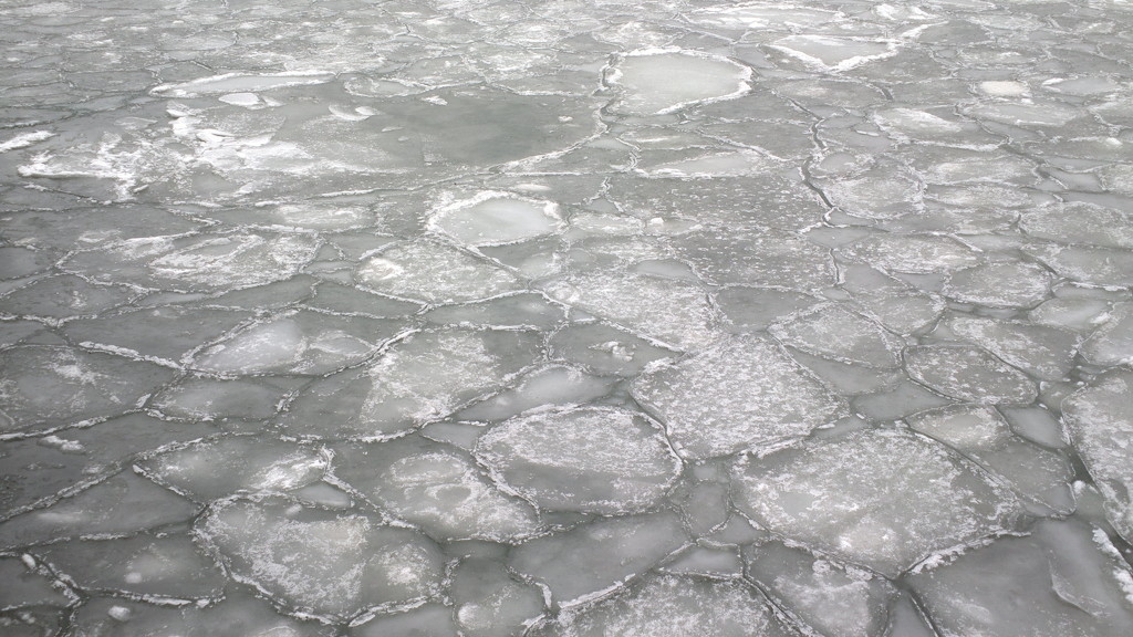 Ice on the sea by annelis