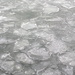 Ice on the sea by annelis
