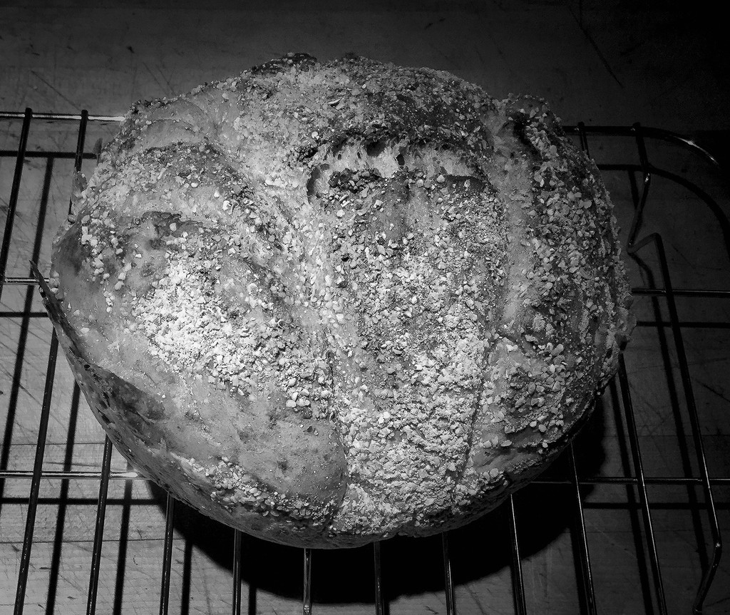 Black and White Fresh Bread  by jgpittenger