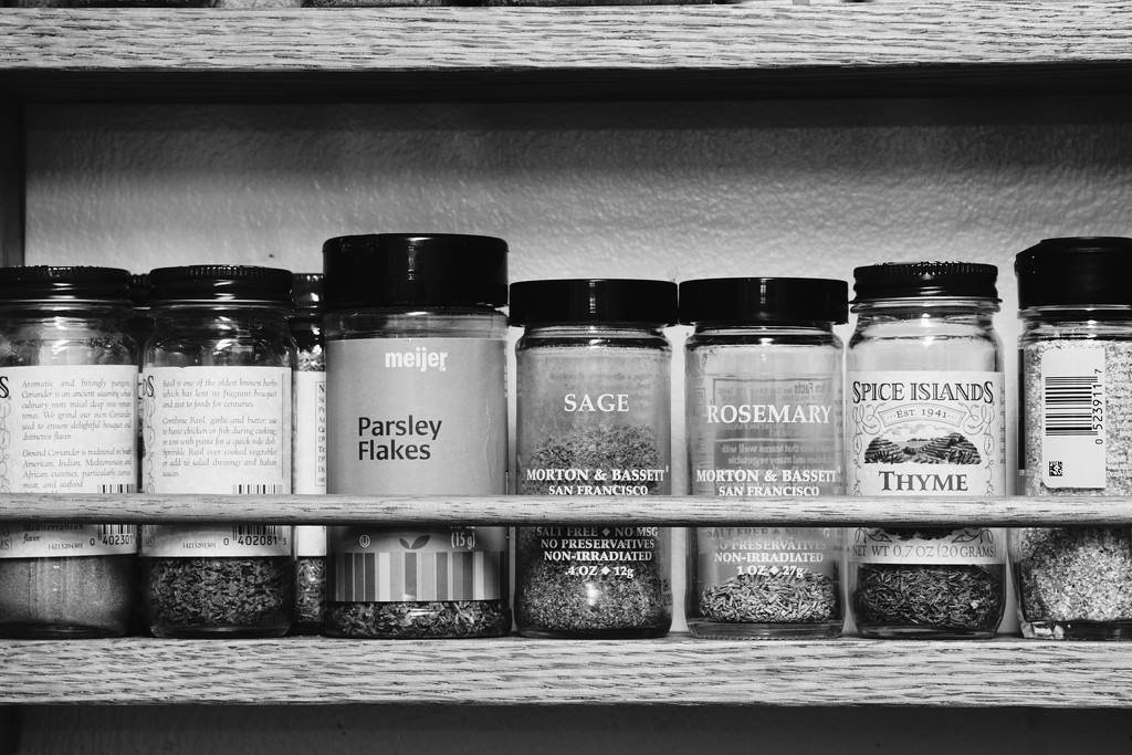 musical spice rack by amyk