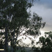 silhouette heaven by koalagardens