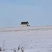 Little House On The Prairie by bkbinthecity