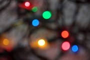 17th Dec 2010 - out of focus....
