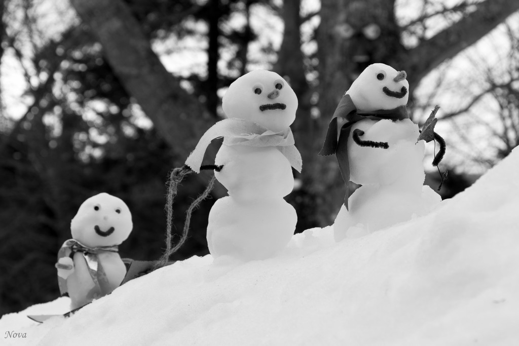 The Snow family returns - Image #13 by novab