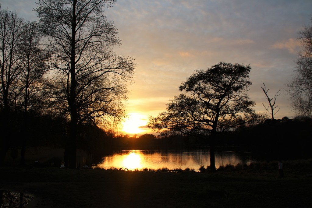 Sunset - Wollaton Park by oldjosh
