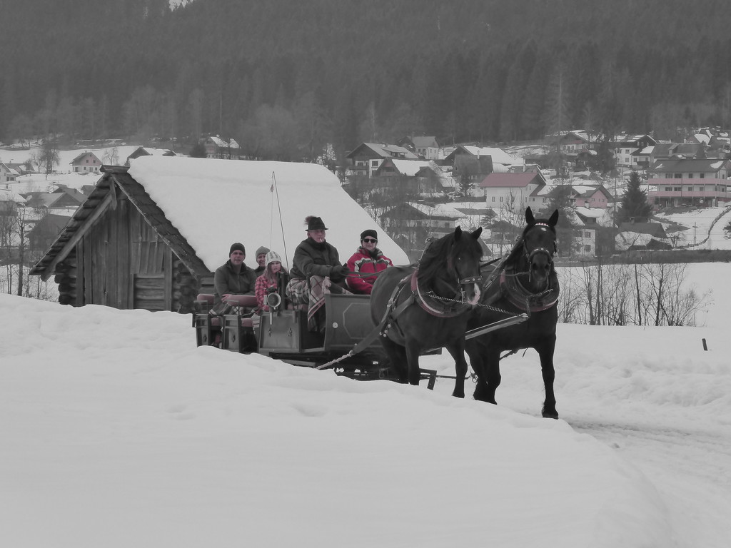 Horse-Sledging by cmp