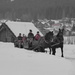 Horse-Sledging by cmp