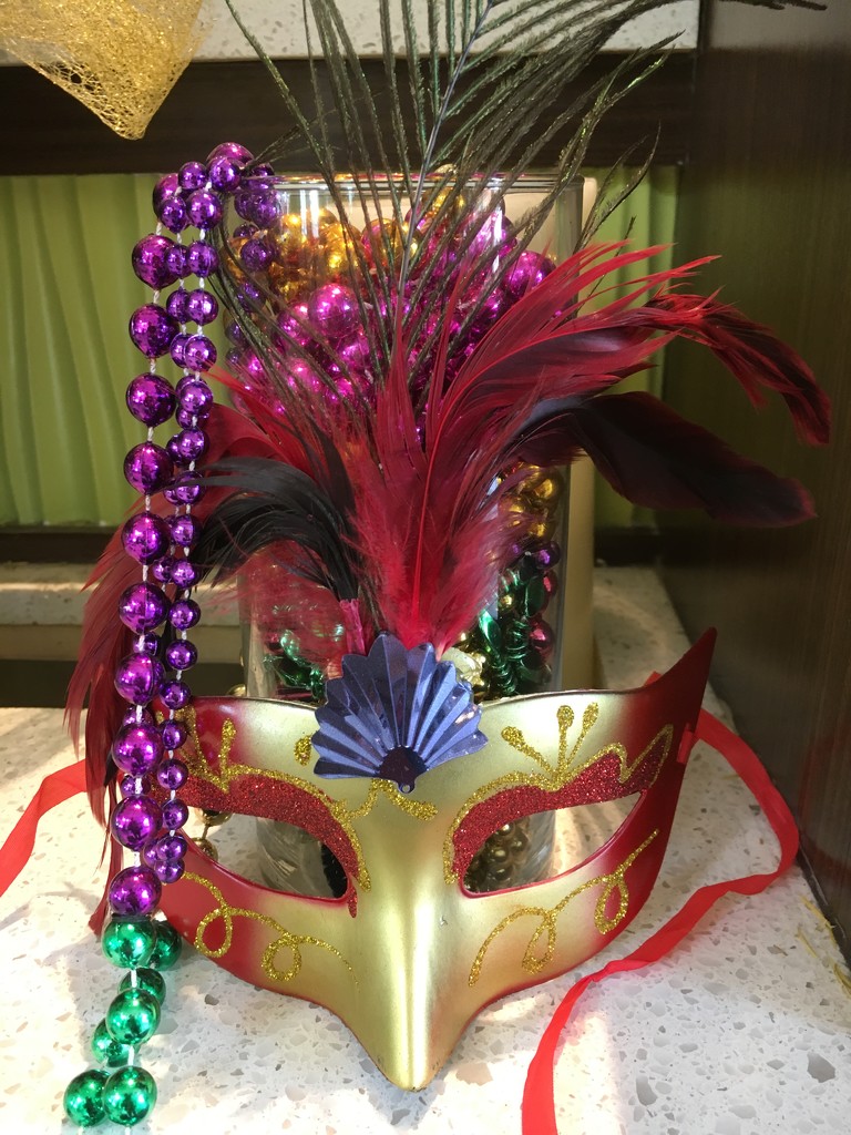 Love the Mardi Gras decorations by graceratliff