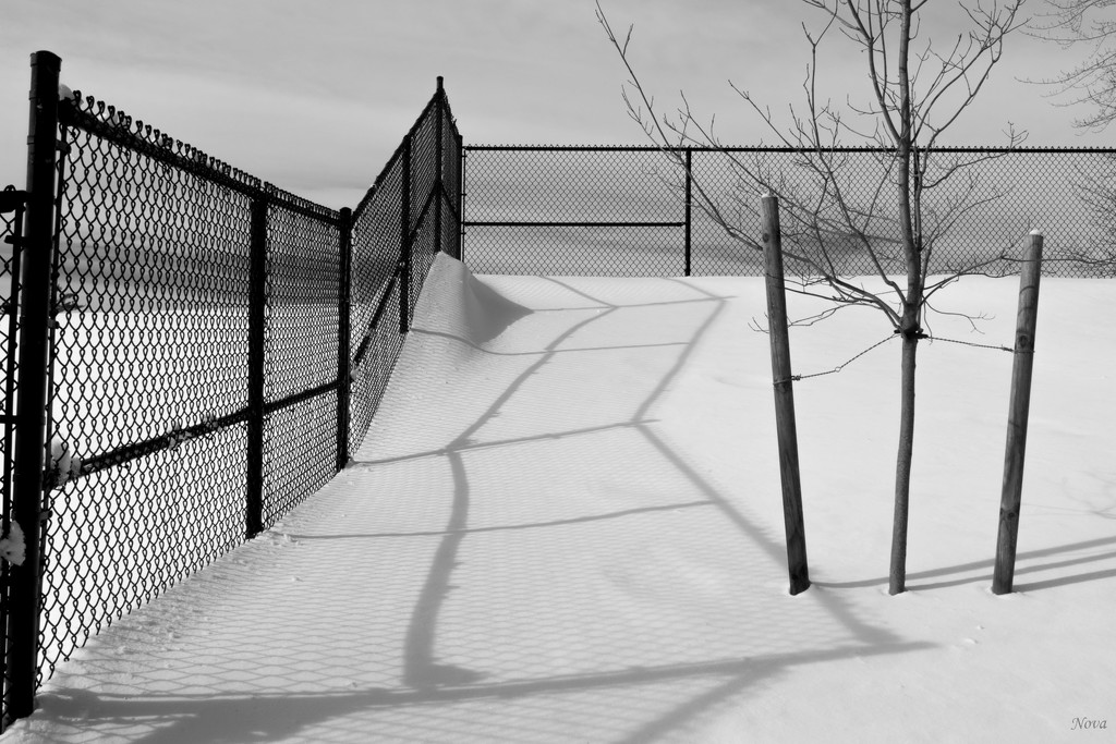 Snow shadows by novab