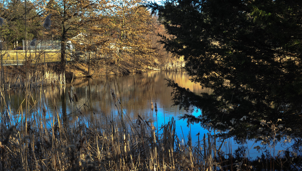 The Pond by loweygrace