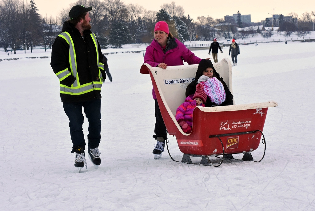 Family Skate on the Rideau Canal by farmreporter