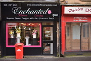 22nd Feb 2017 - Enchanted of Paisley