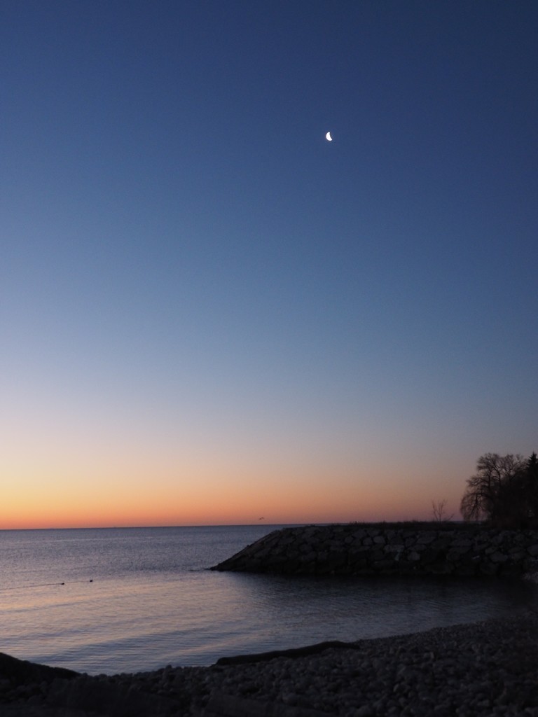 First Light with Quarter Moon by selkie