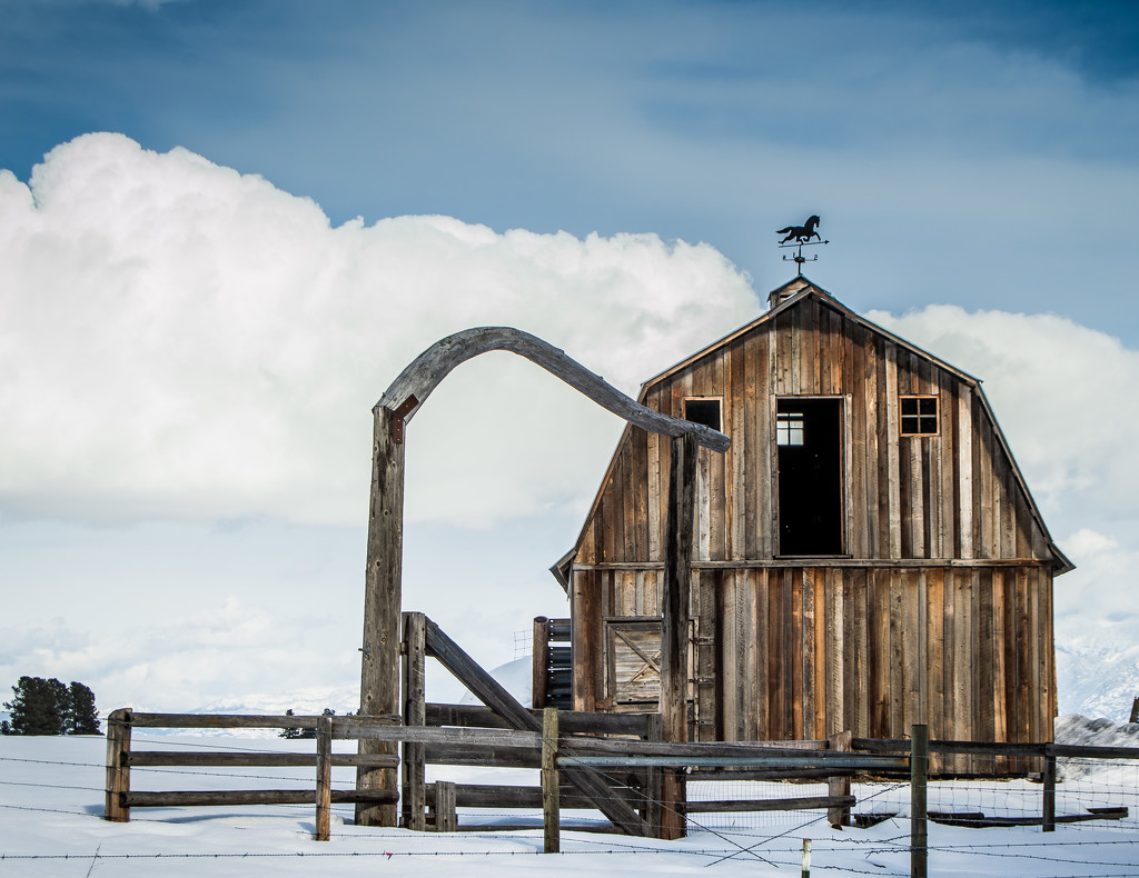 Montana Barn by 365karly1