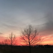 22nd Feb 2017 - Sunset