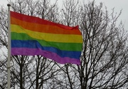 23rd Feb 2017 - flying the six-band rainbow flag