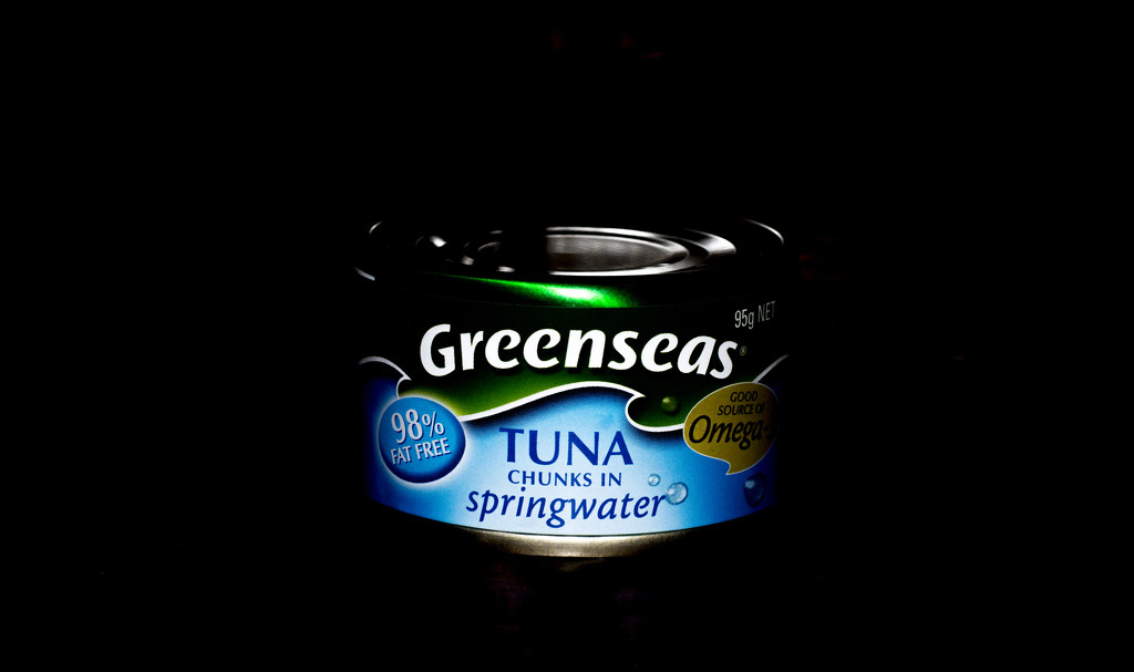a can of tuna by winshez