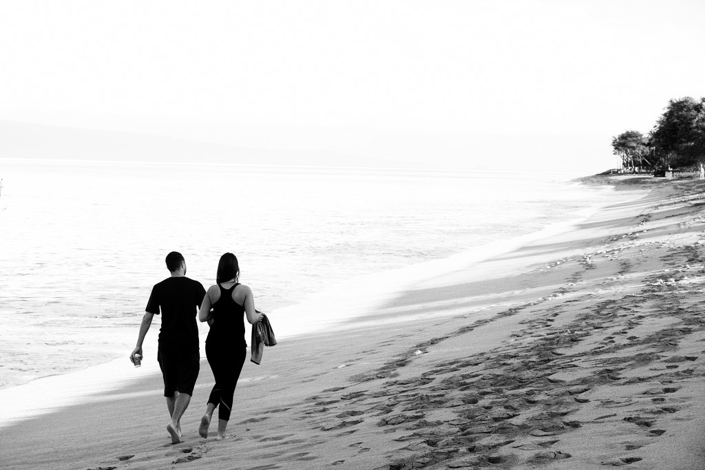 Walking the Beach by tosee