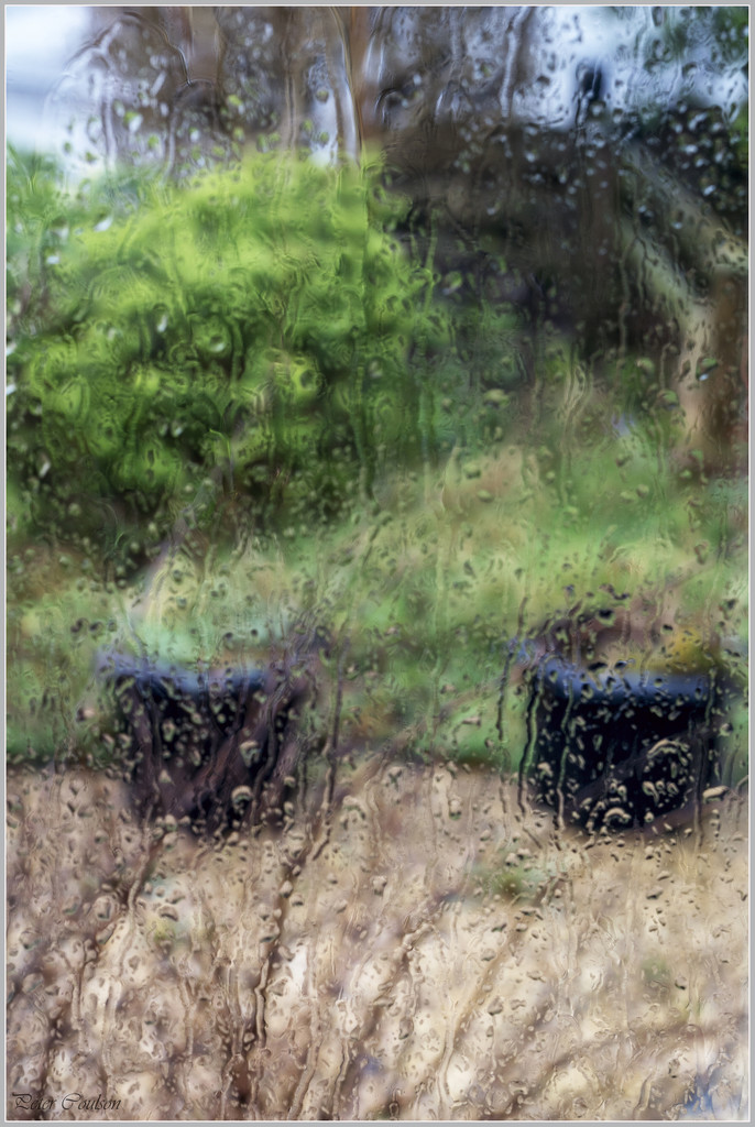 Rain on the Window by pcoulson