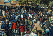 17th Feb 2017 - 041 - Sunday Market - Delhi