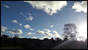 23rd Feb 2017 - Blustery day to be flying.