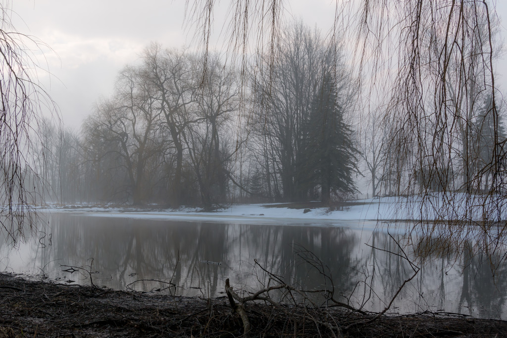 foggy pond by tracymeurs