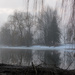 foggy pond by tracymeurs