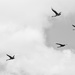 Flying geese by dkbarnett