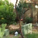just my humble little yard in complete blurness by blueberry1222