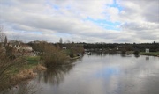 24th Feb 2017 - River Trent  
