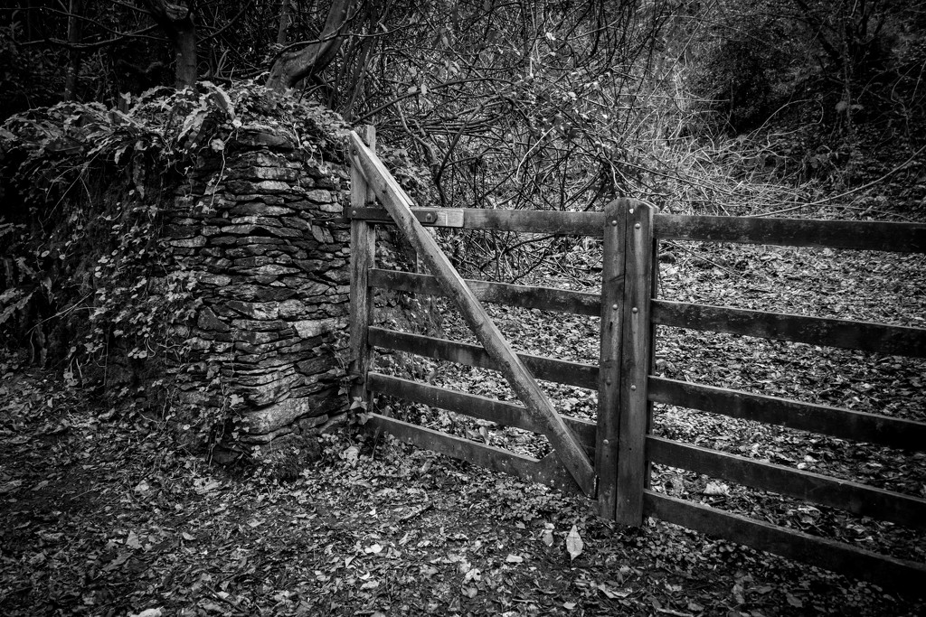 Old gates by susie1205