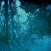Blue Reflections by jaybutterfield
