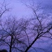 Twilight at the Pond by deborahsimmerman