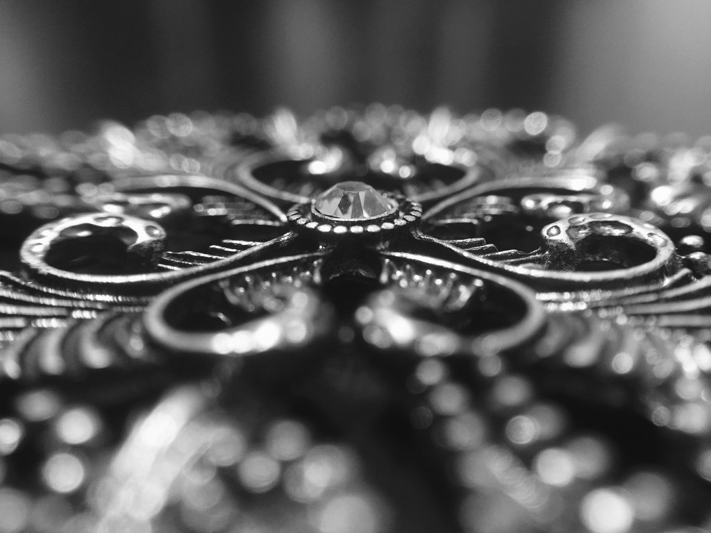 Necklace meets macro lens b&w by kdrinkie