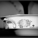 The serving dish by dide