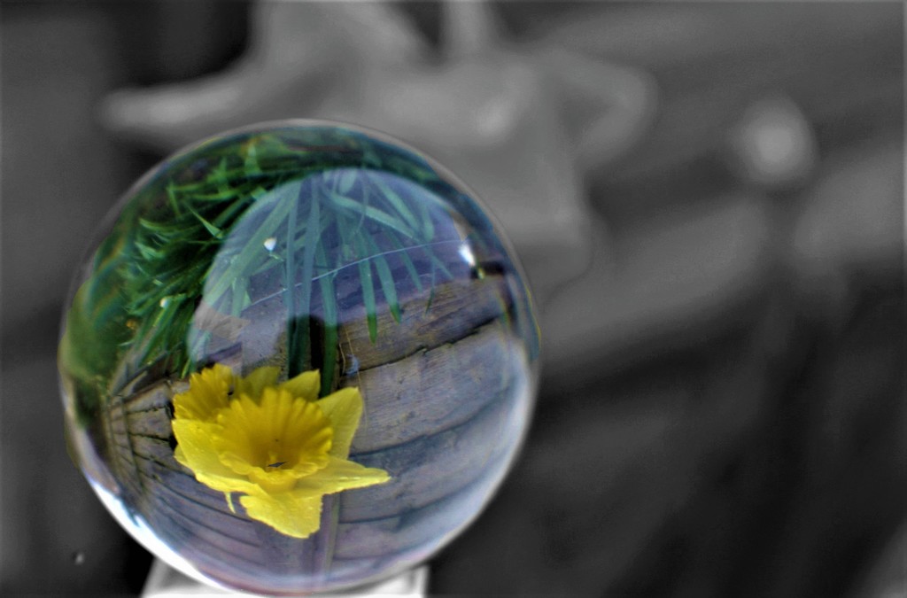 Flash of Yellow (for a change) in a Ball by 30pics4jackiesdiamond