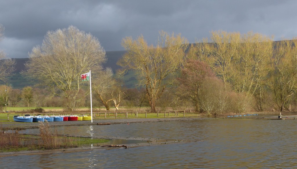  Boats and the Welsh Flag at Llangorse  by susiemc