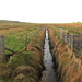 Drainage Ditch by lifeat60degrees