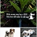 Dog Lovers ~ by happysnaps