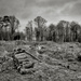 PLAY Feb - Fuji 18mm f/2: Some Still Standing by vignouse